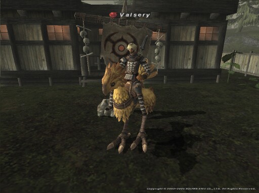 Just me on a chocobo